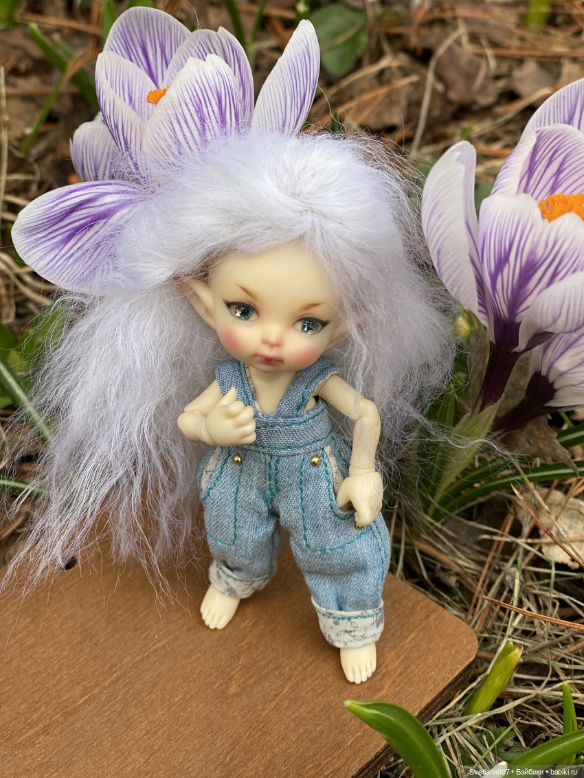 Может, кого-то и нашли в капусте, но Стефана - в крокусах