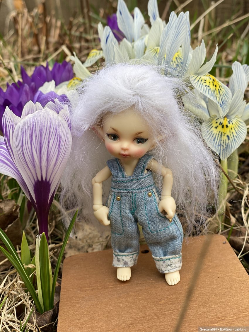 Может, кого-то и нашли в капусте, но Стефана - в крокусах (фото 2)