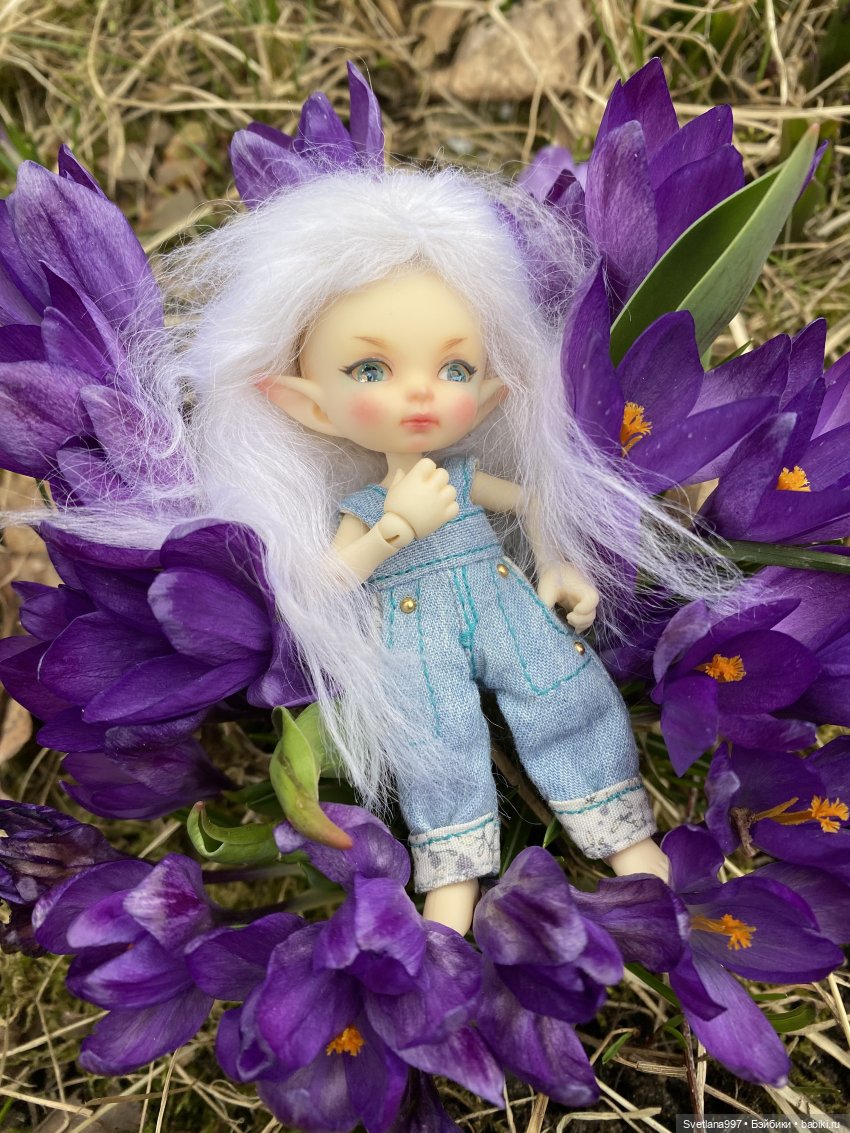 Может, кого-то и нашли в капусте, но Стефана - в крокусах (фото 3)