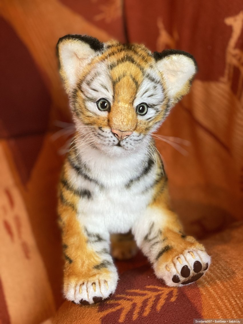 Мурзик родился — Авторские куклы ручной работы: текстильные (фото 7)