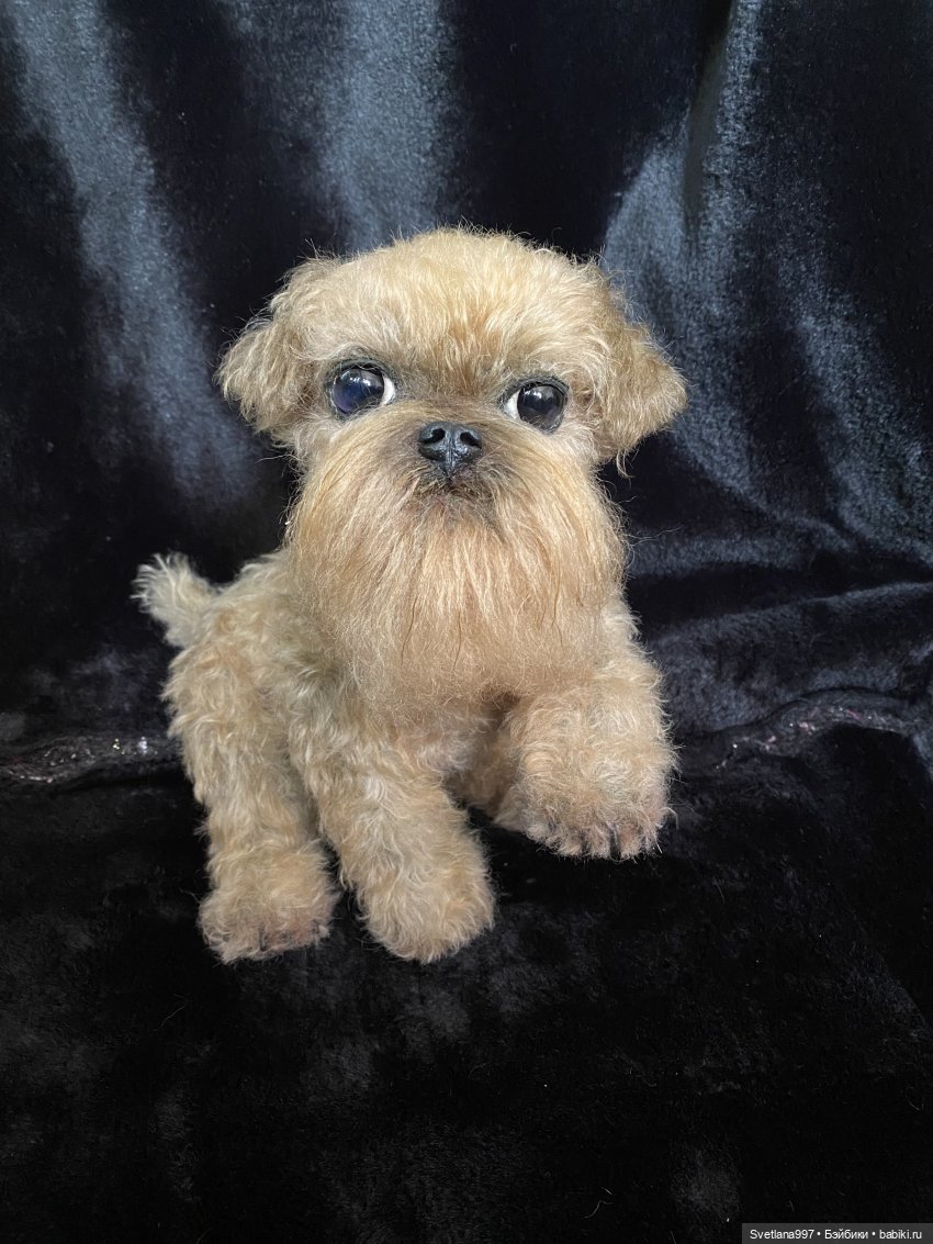 Разрешите представить себя Вам - Сырок (фото 4)