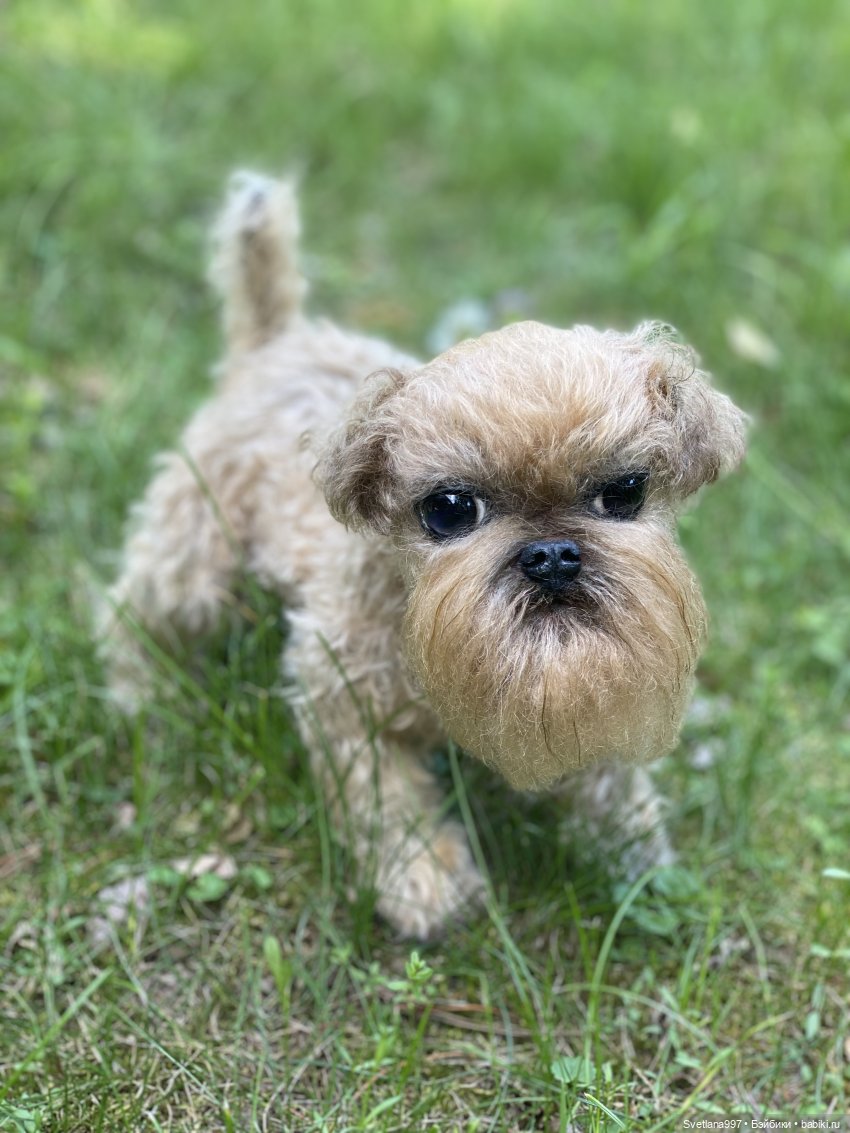 Разрешите представить себя Вам - Сырок (фото 6)