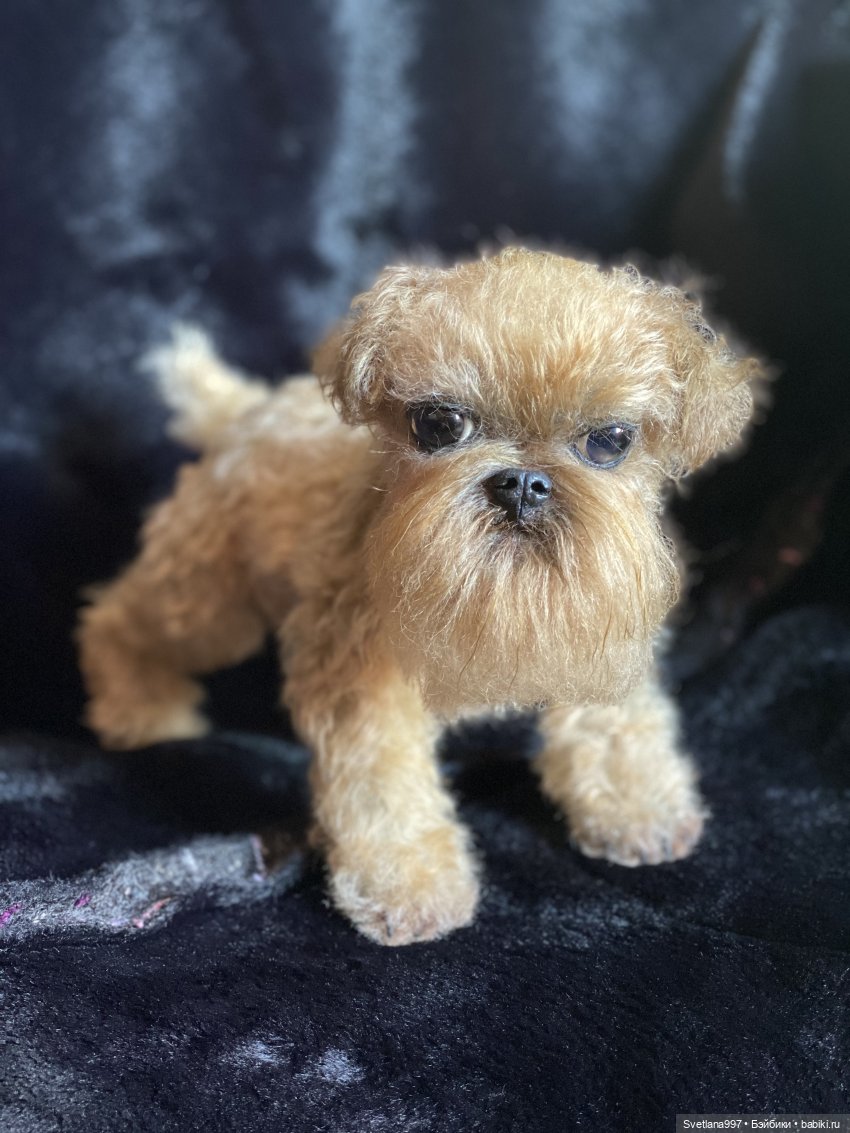 Разрешите представить себя Вам - Сырок