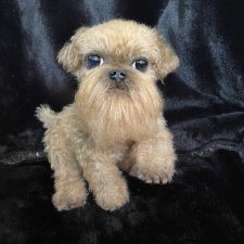 Разрешите представить себя Вам - Сырок.