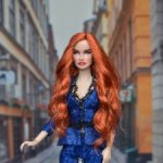 Интегрити ооак