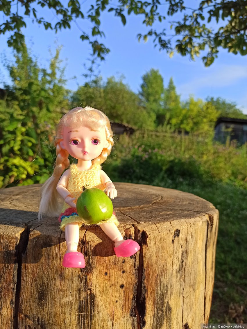 Путешествие на Большой Черепахе (фото 3)