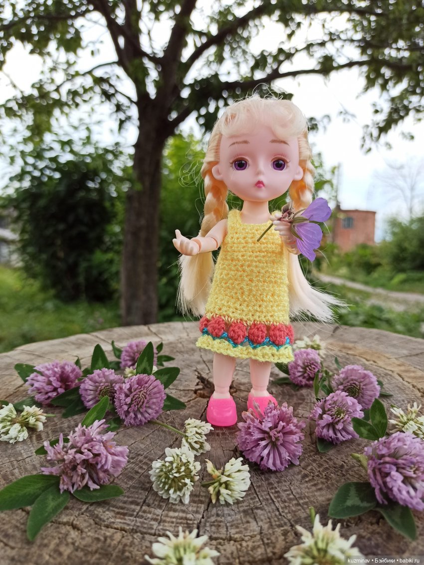 Путешествие на Большой Черепахе