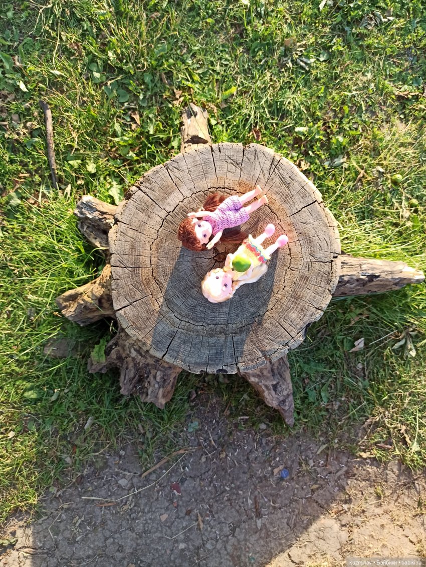 Путешествие на Большой Черепахе (фото 8)