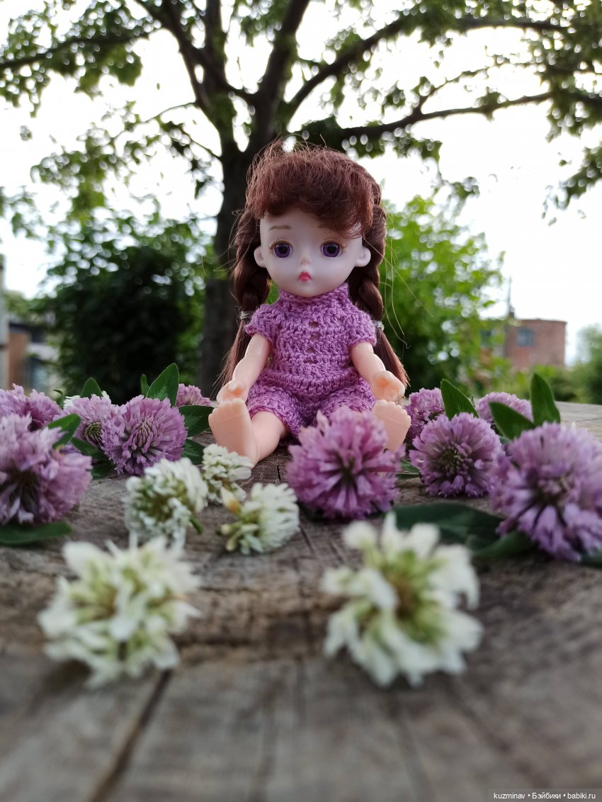 Путешествие на Большой Черепахе