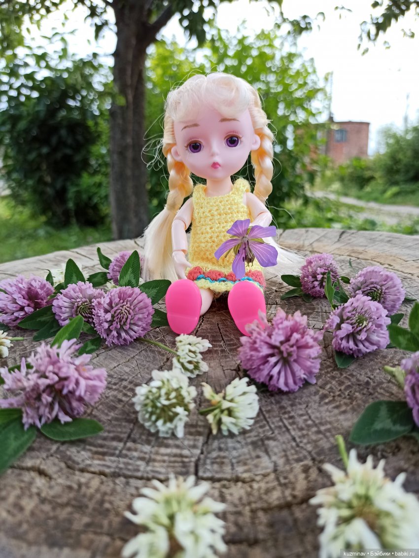 Путешествие на Большой Черепахе