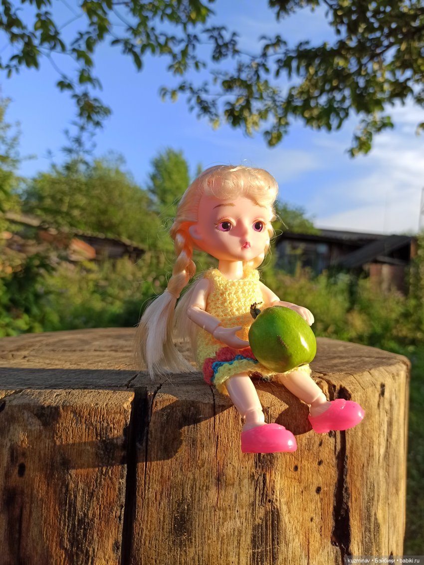 Путешествие на Большой Черепахе (фото 4)