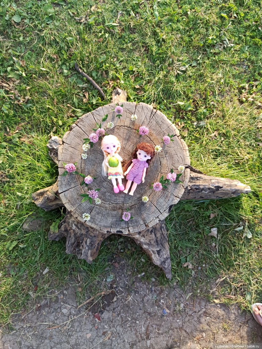 Путешествие на Большой Черепахе