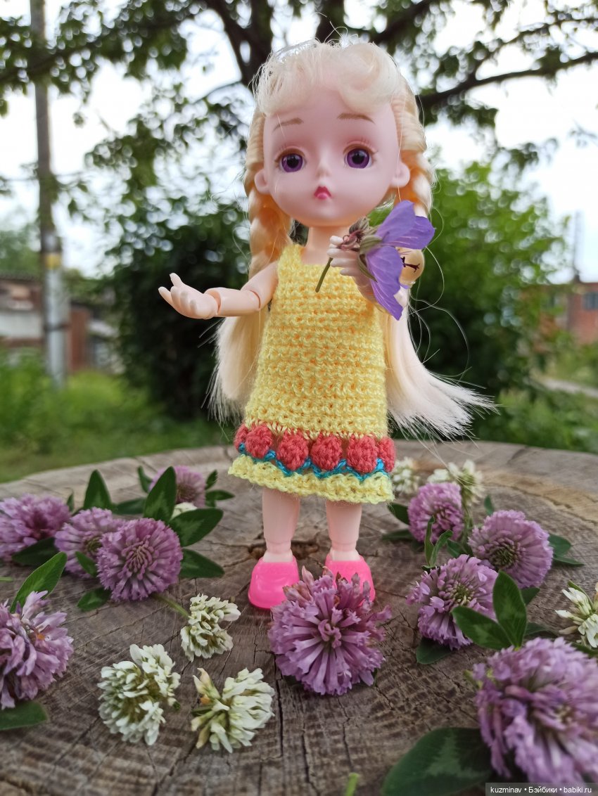 Путешествие на Большой Черепахе