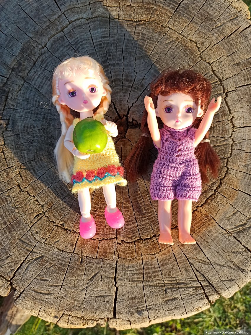 Путешествие на Большой Черепахе (фото 7)