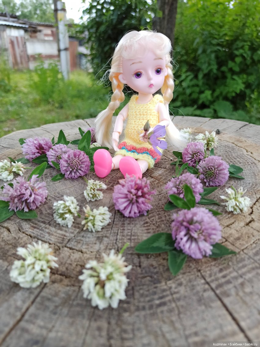 Путешествие на Большой Черепахе