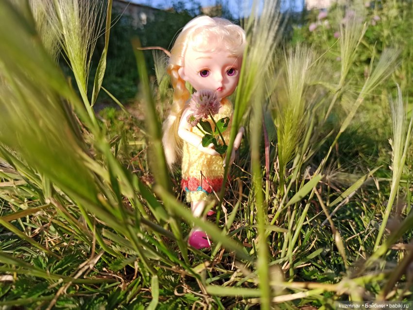 Путешествие на Большой Черепахе