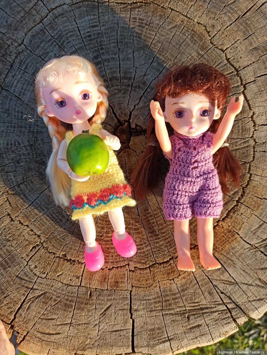 Путешествие на Большой Черепахе (фото 6)