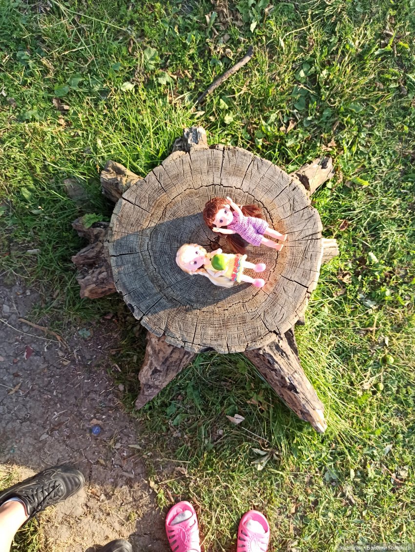 Путешествие на Большой Черепахе (фото 9)