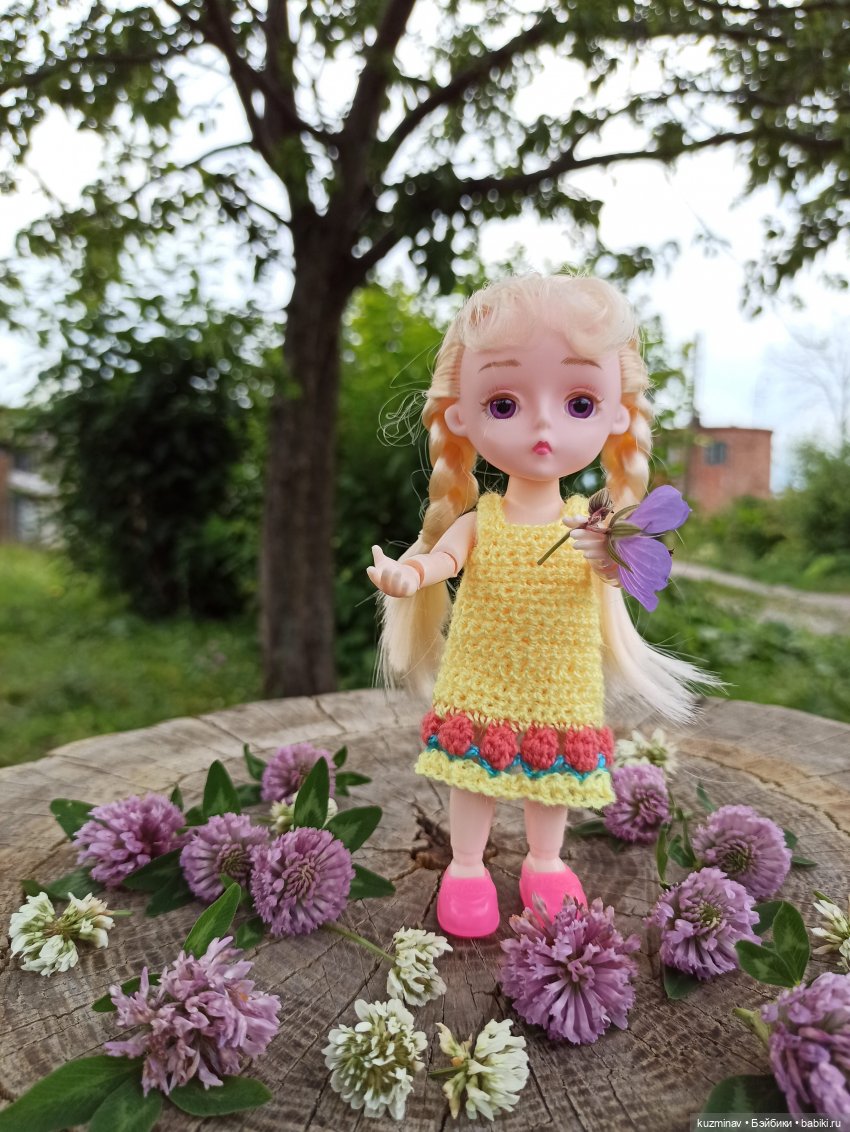 Путешествие на Большой Черепахе