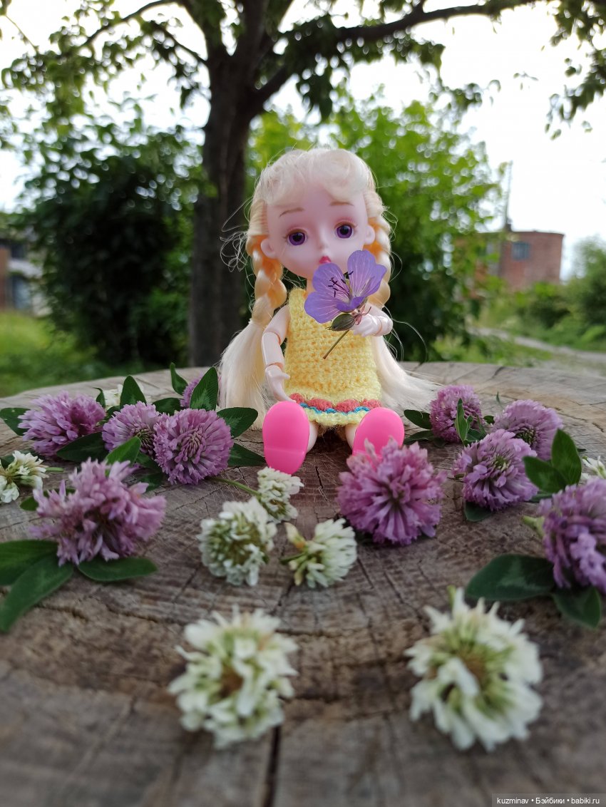 Путешествие на Большой Черепахе