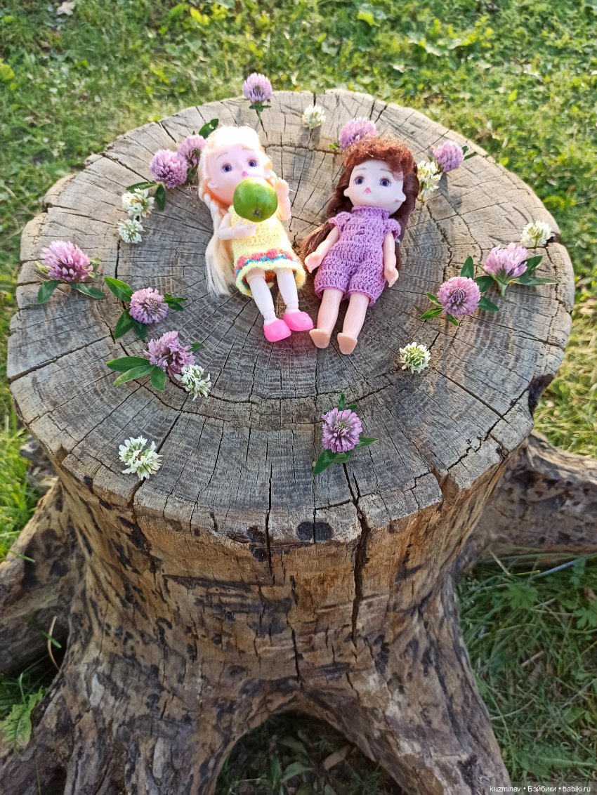 Путешествие на Большой Черепахе