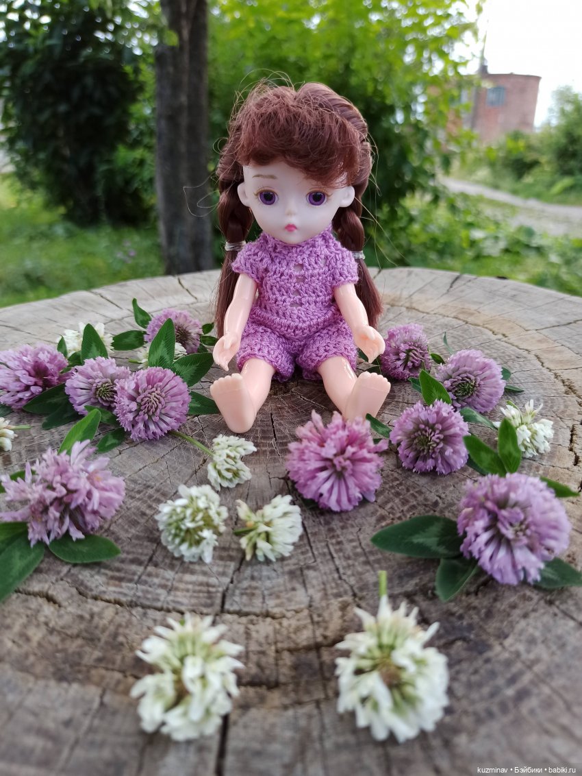 Путешествие на Большой Черепахе