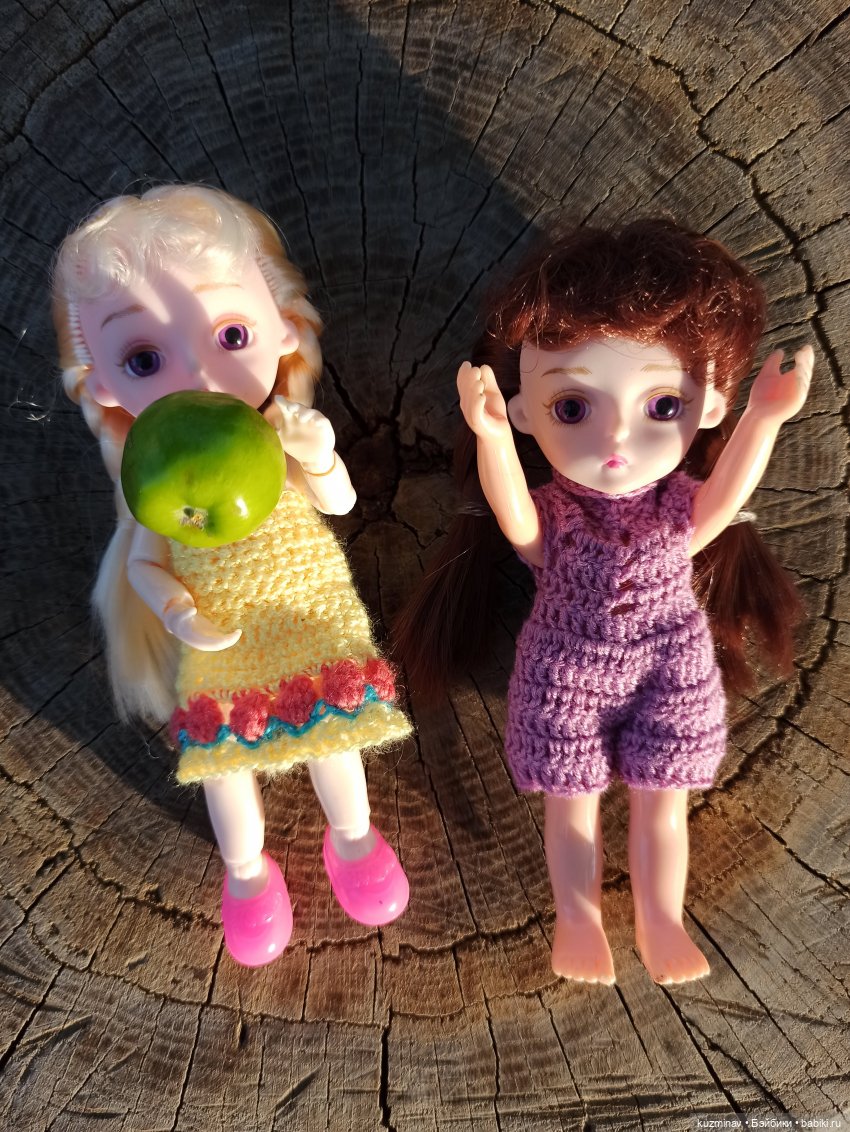 Путешествие на Большой Черепахе (фото 5)