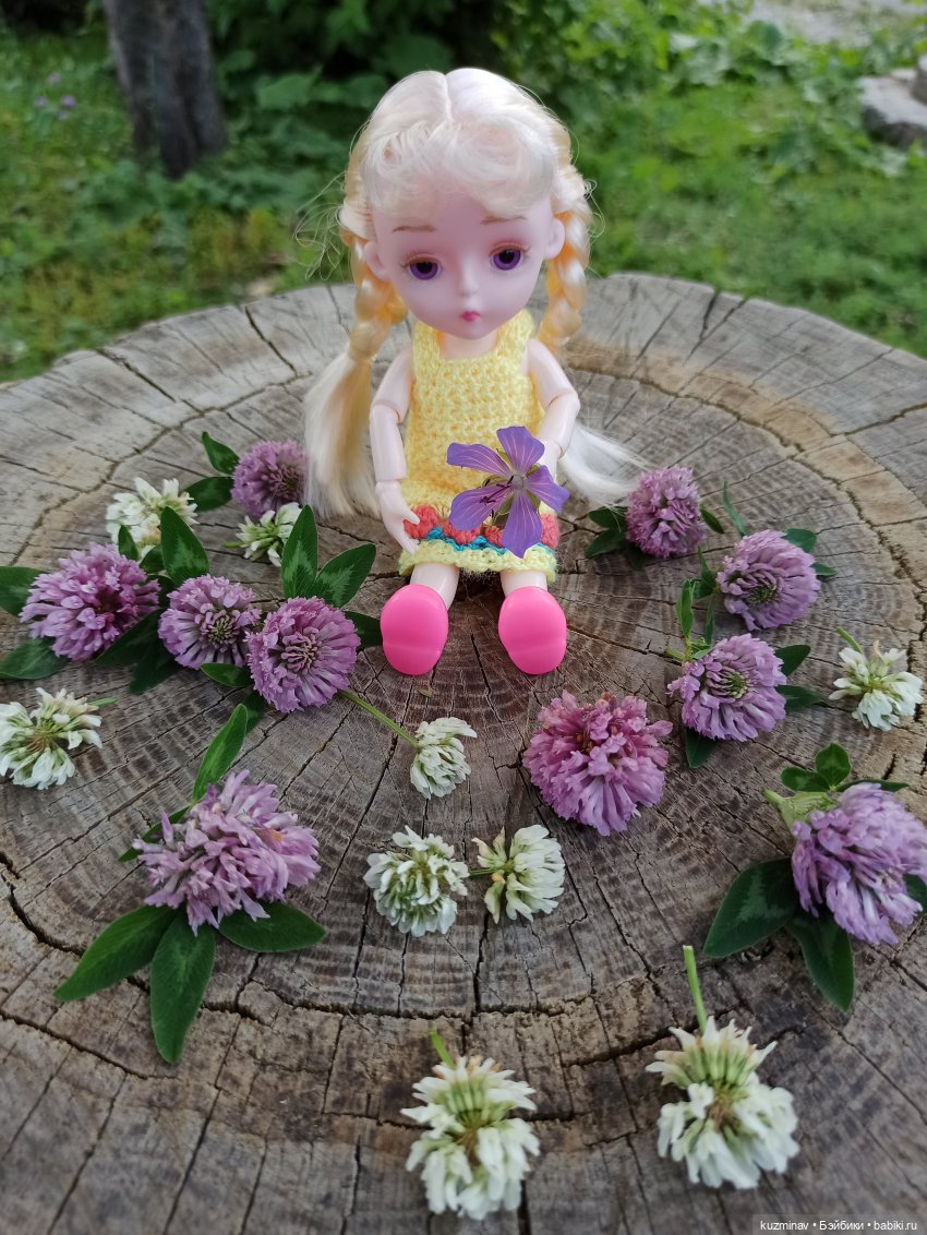 Путешествие на Большой Черепахе