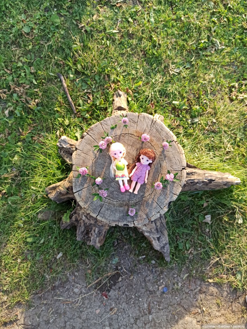 Путешествие на Большой Черепахе (фото 10)