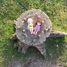 Путешествие на Большой Черепахе