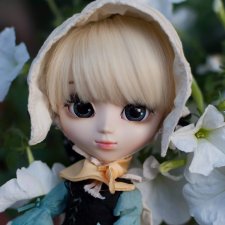 Моя единственная Пуллип