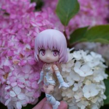 Сати и гортензии