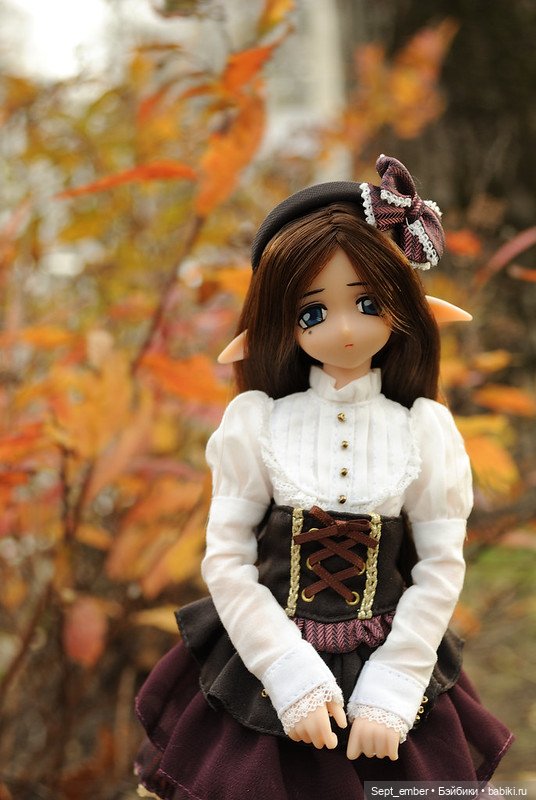 Кукольная осень — Куклы Azone (Азон) и тела Pure Neemo: фото (фото 7)