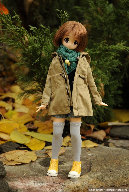 Кукольная осень — Куклы Azone (Азон) и тела Pure Neemo: фото (фото 2)