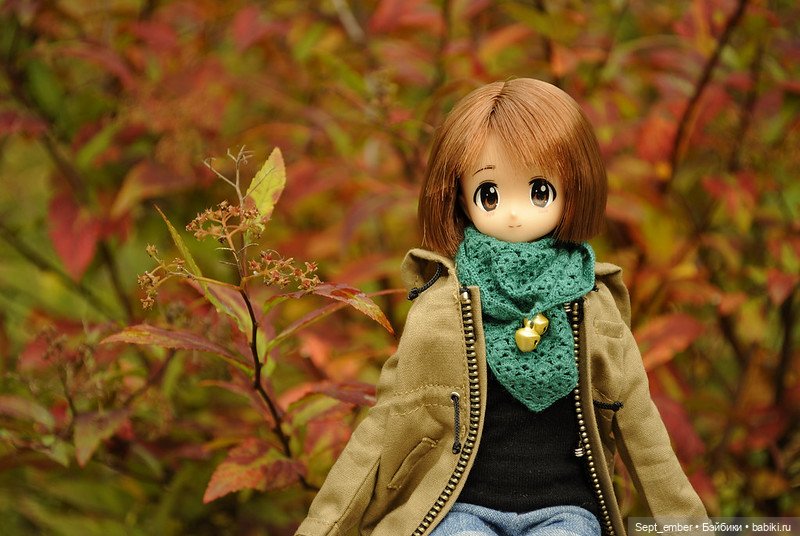Кукольная осень — Куклы Azone (Азон) и тела Pure Neemo: фото (фото 5)