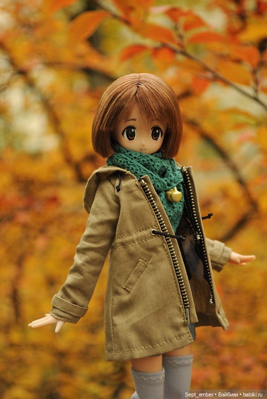 Кукольная осень — Куклы Azone (Азон) и тела Pure Neemo: фото (фото 4)