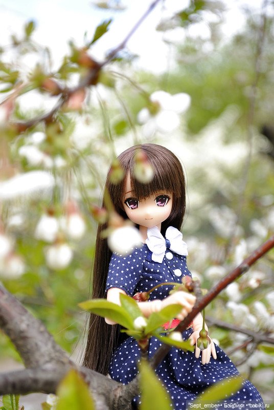 Весеннее цветение — Куклы Azone (Азон) и тела Pure Neemo: фото