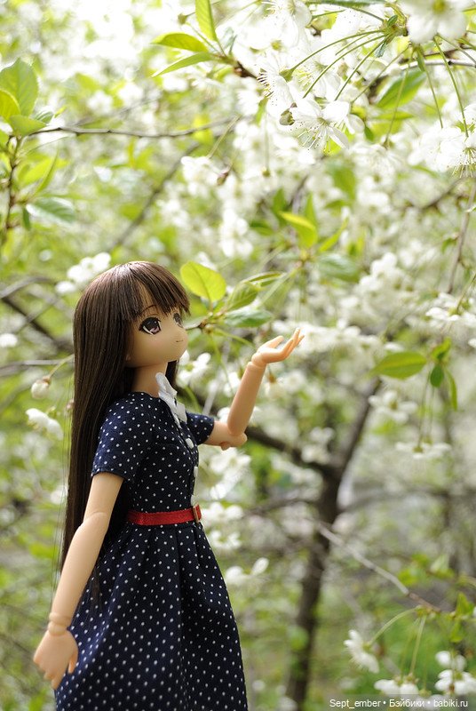 Весеннее цветение — Куклы Azone (Азон) и тела Pure Neemo: фото (фото 2)