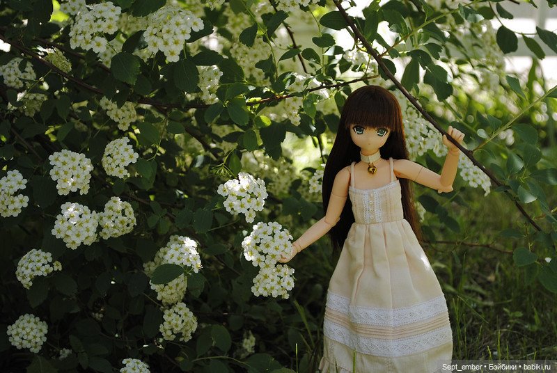 Весеннее цветение — Куклы Azone (Азон) и тела Pure Neemo: фото (фото 8)