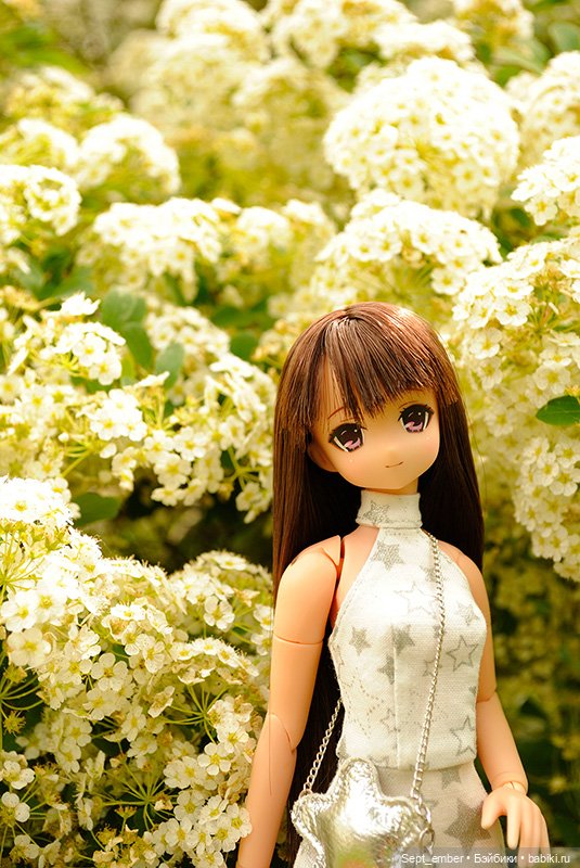 Птичка Тори — Аниме куклы (MJD/Винил): Imomo