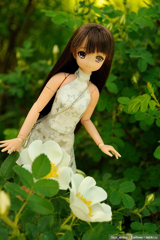 Птичка Тори — Аниме куклы (MJD/Винил): Imomo