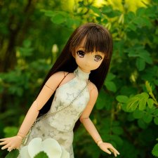 Птичка Тори