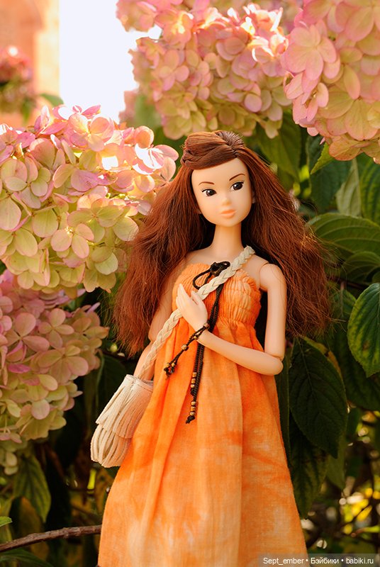 Теплым сентябрьским днём — Куклы Momoko и Ruruko (Petworks