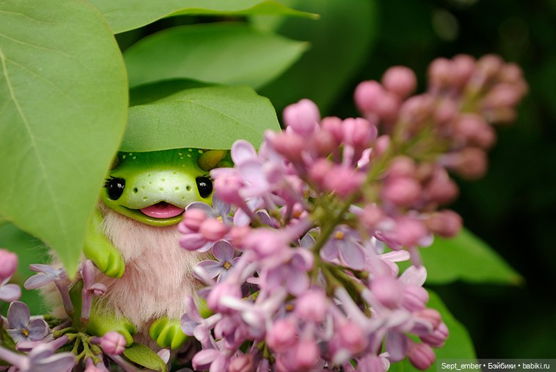 Весеннее цветение — Домашние фото авторских игрушек: Тедди (фото 5)