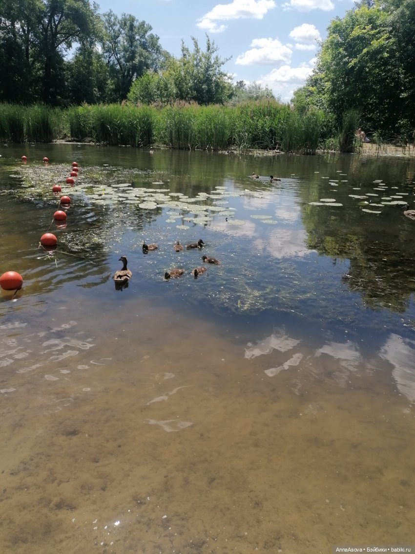 Прогулочка — Куклы Baboliy (Баболи (фото 4)