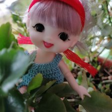 Цветоводы - любительницы