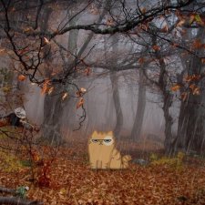 Когда ждешь посылку