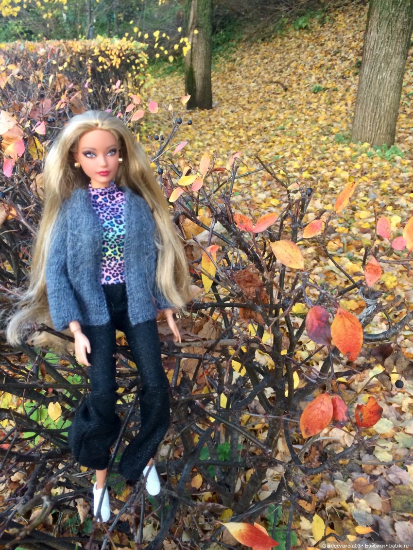 Мой Дмитров | Бэйбики Мой Дмитров — Куклы Barbie (Барби): Looks (фото 5)