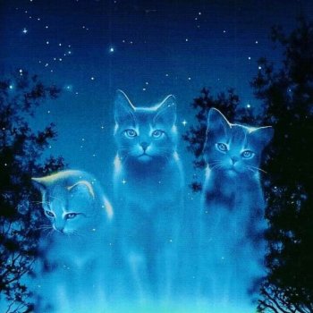 Подвожу итоги 2025