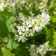 Майские каникулы